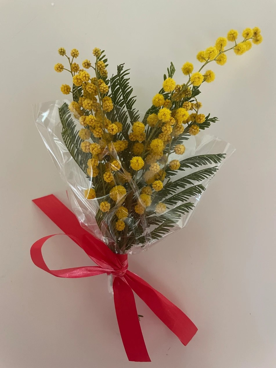 Mimosen zum Weltfrauentag